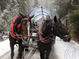 Kulig, 28.02.2025